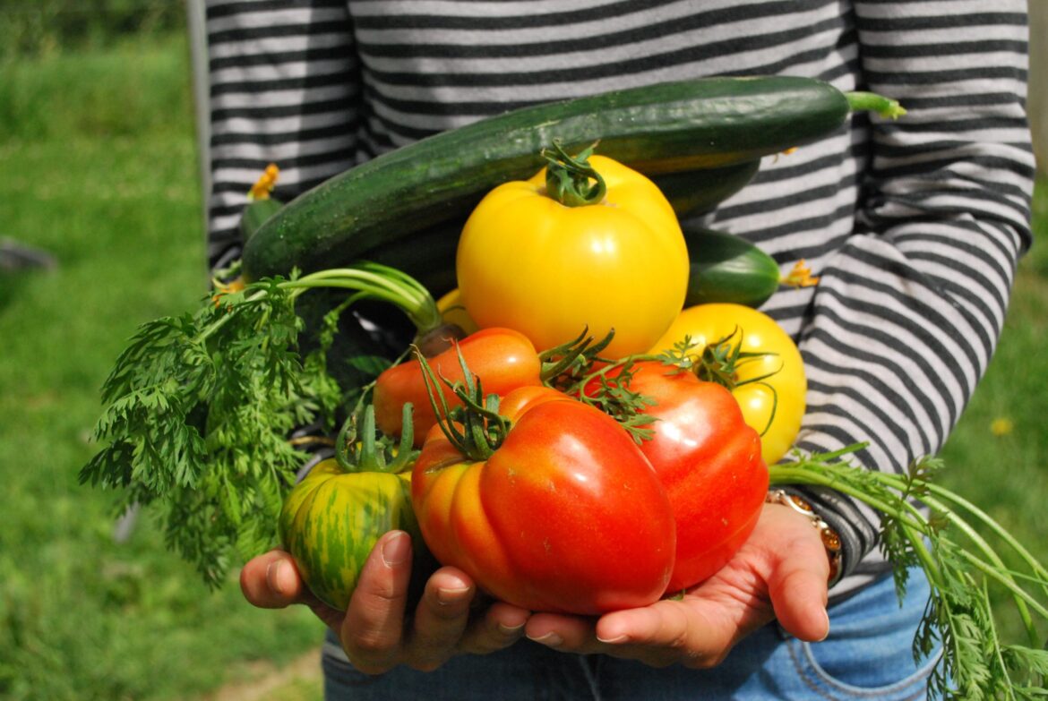 Gardening mistakes to remedy this year 