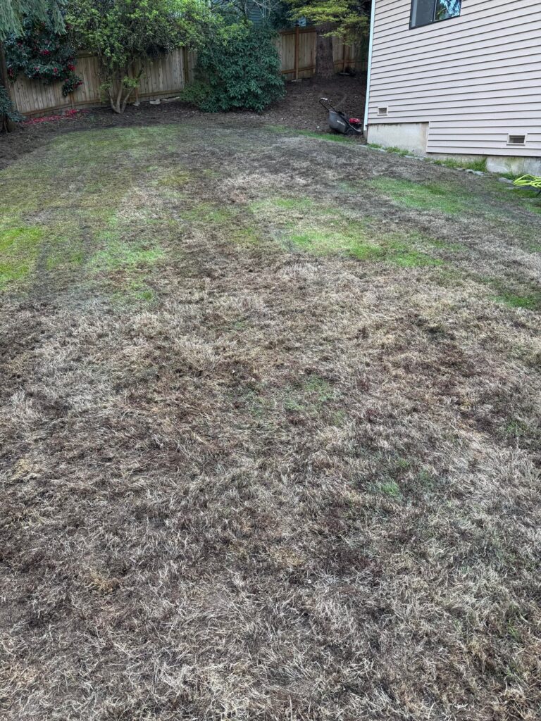 Can I over seed now? Can I over seed now?