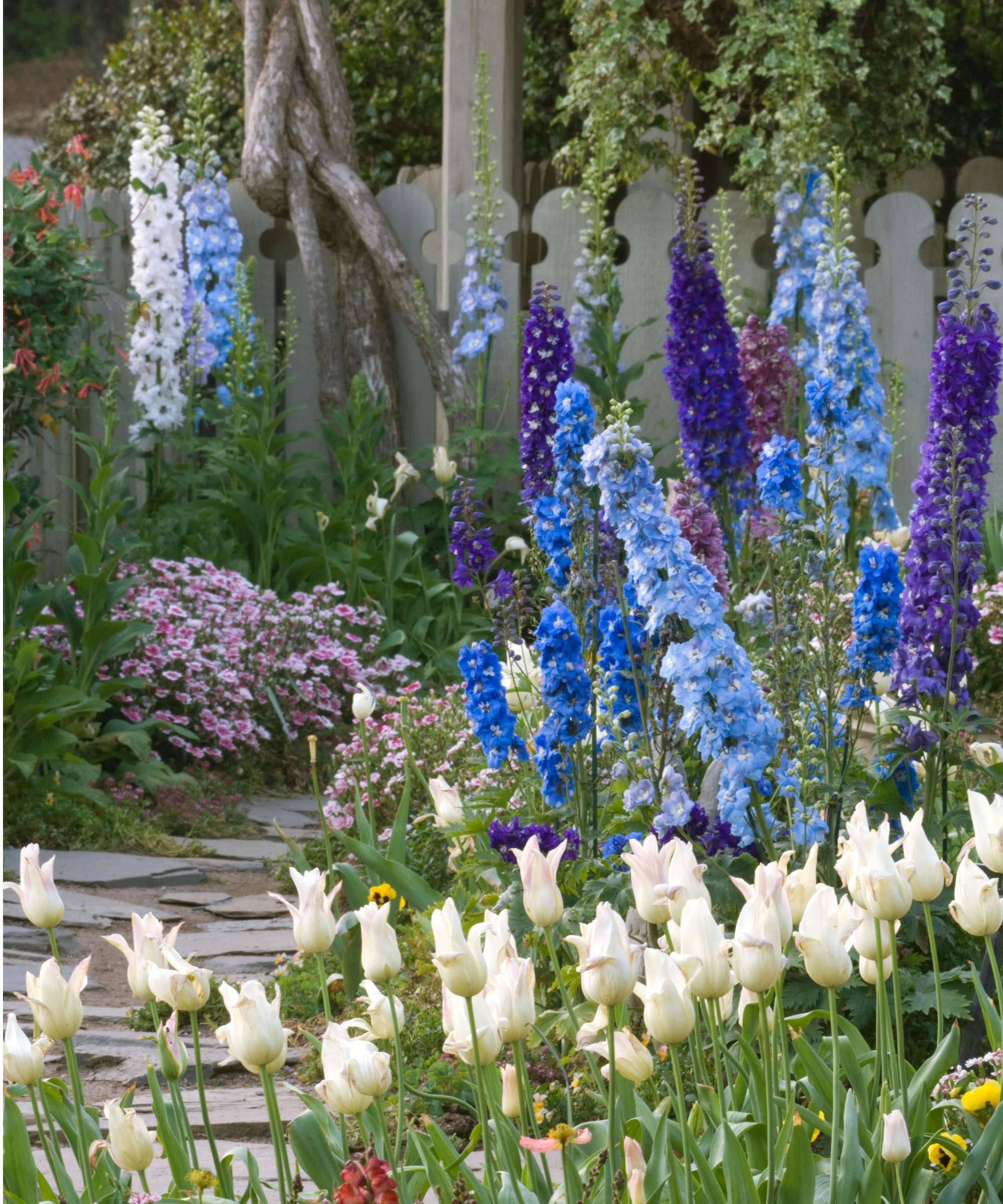 Spring flower garden