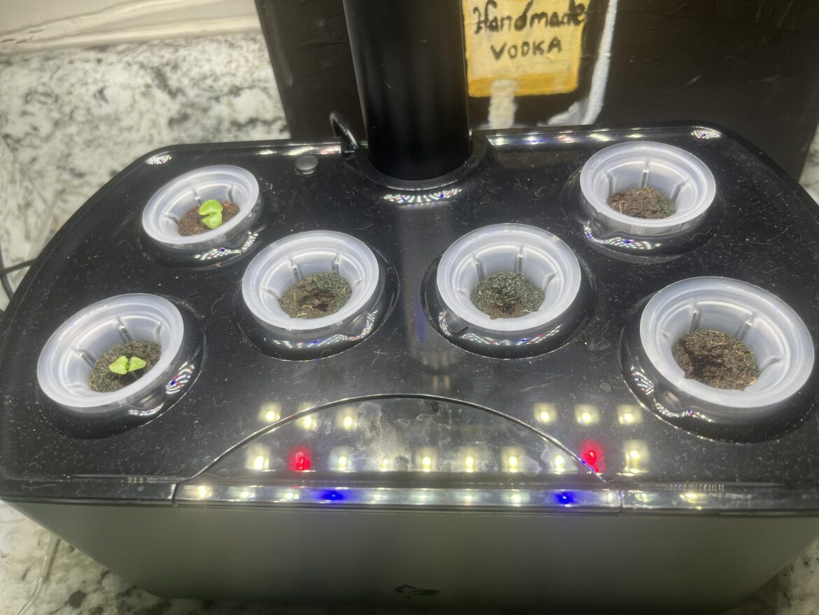 Is there mold in my set up?