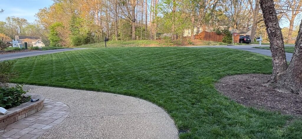 Central Virginia April 3rd