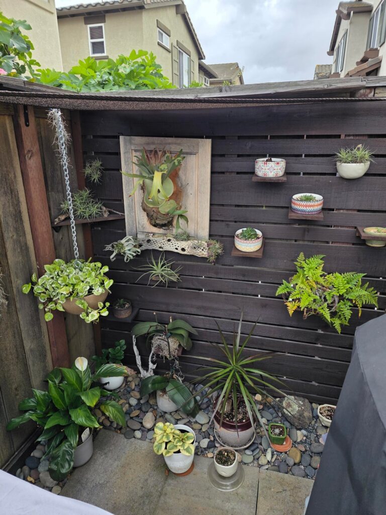 My collection