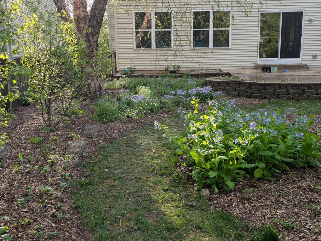 Year 3 Spring Golden Hour