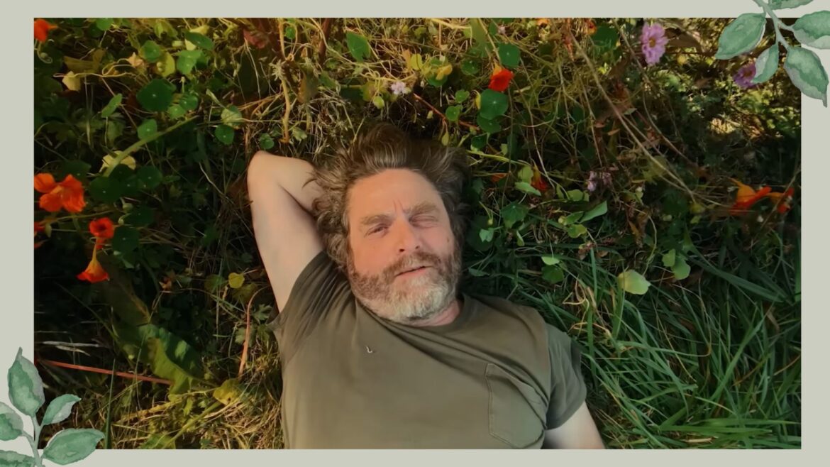 Zach Galifianakis’ gardening show is surprisingly insightful Zach Galifianakis gardening show on Netflix