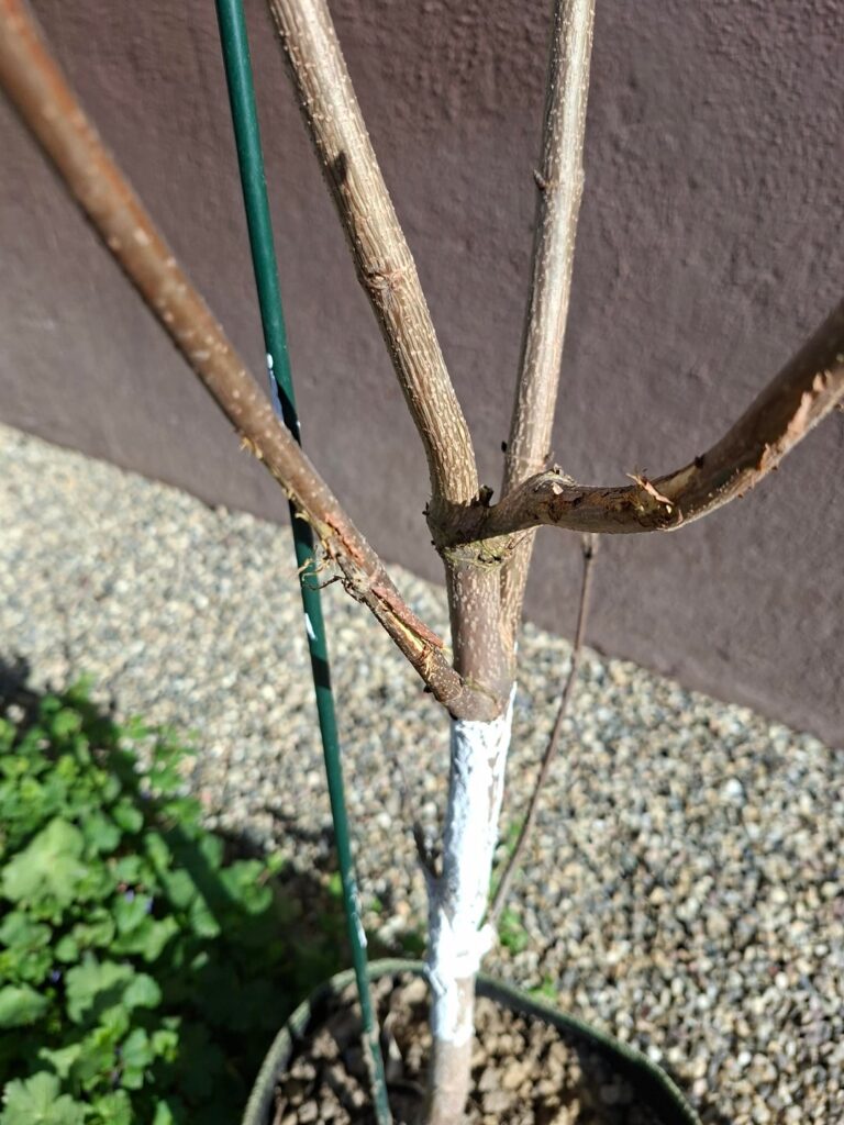 How bad is this damage?