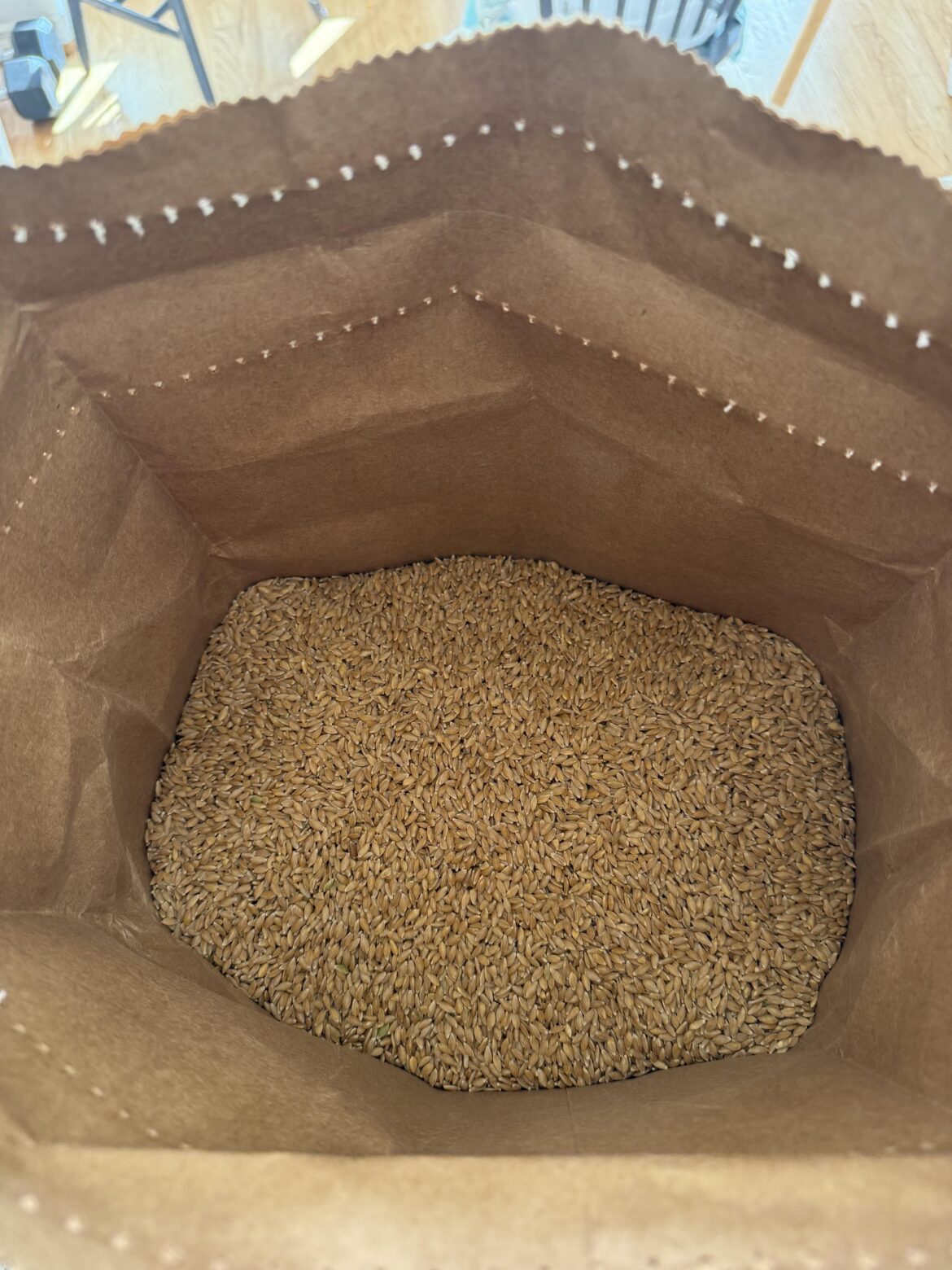 Does anyone have experience grinding their own einkorn flour?