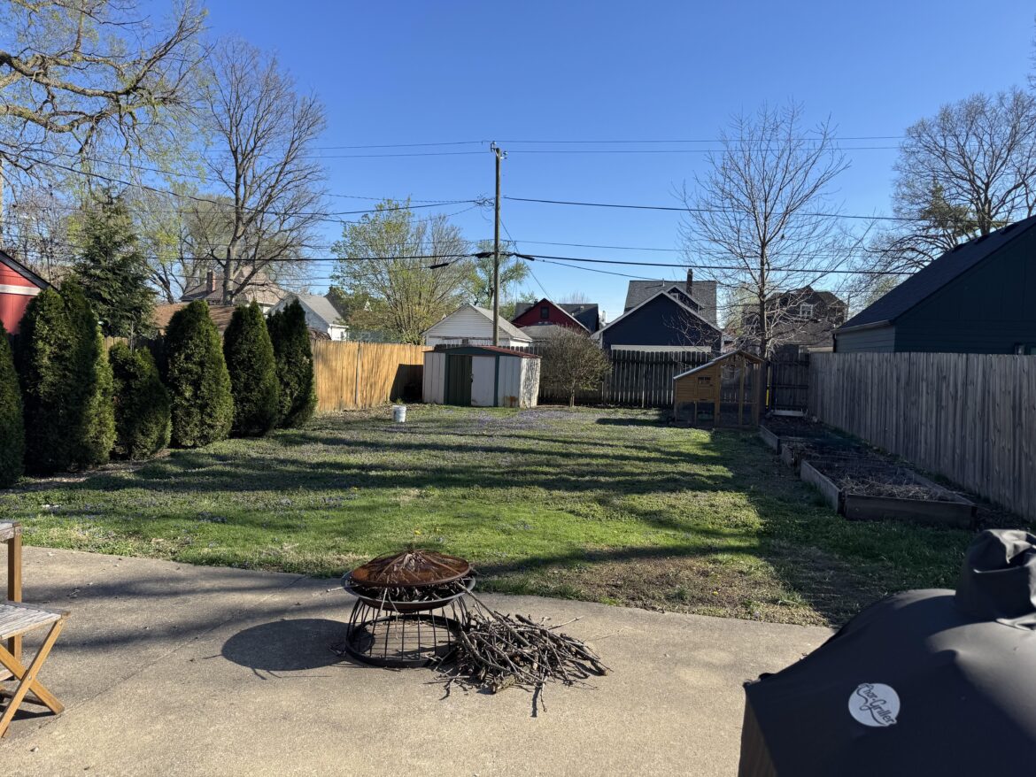 What to do with my backyard