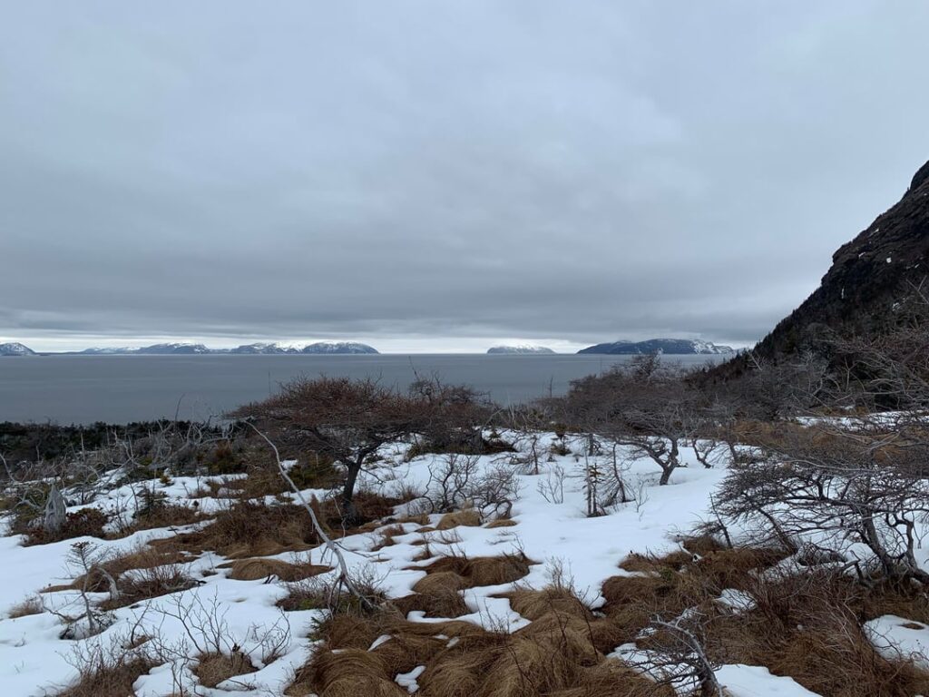 In North Arm, Western Newfoundland