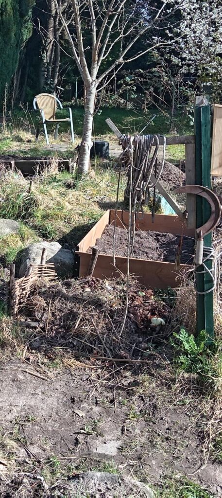 My compost