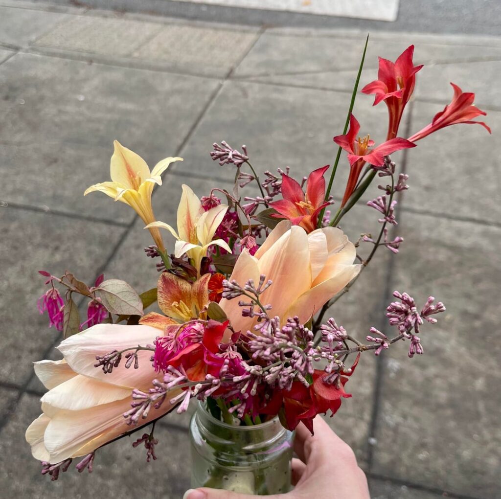 Can you ID these flowers someone brought into my work today?