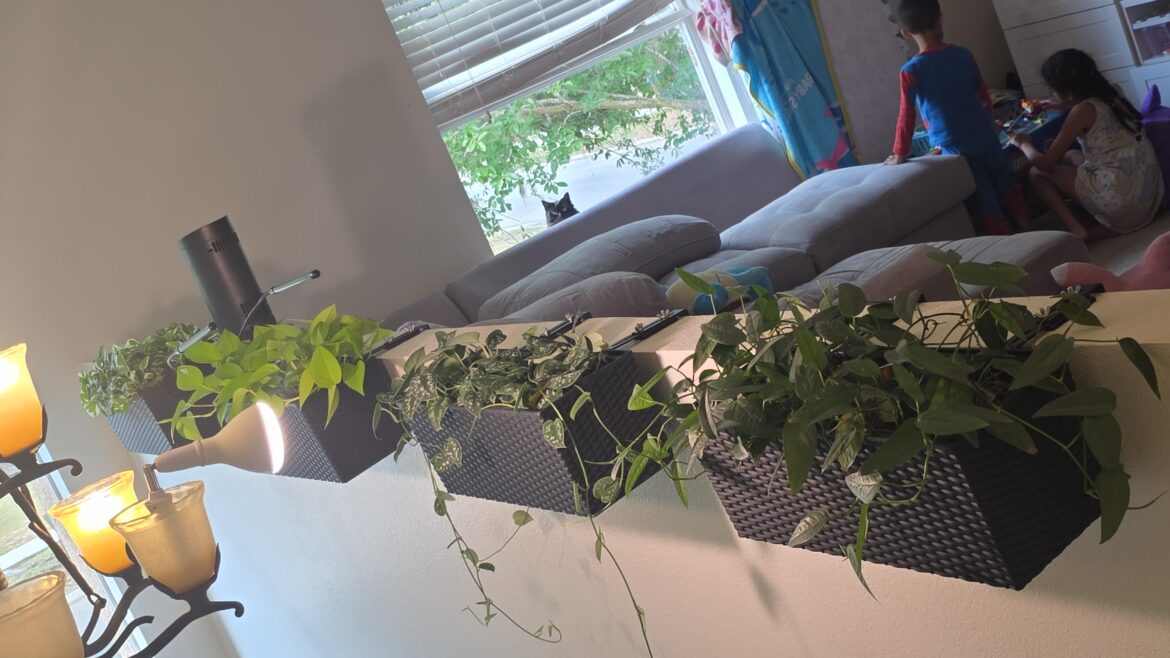 Project Pothite approx 1 year update.