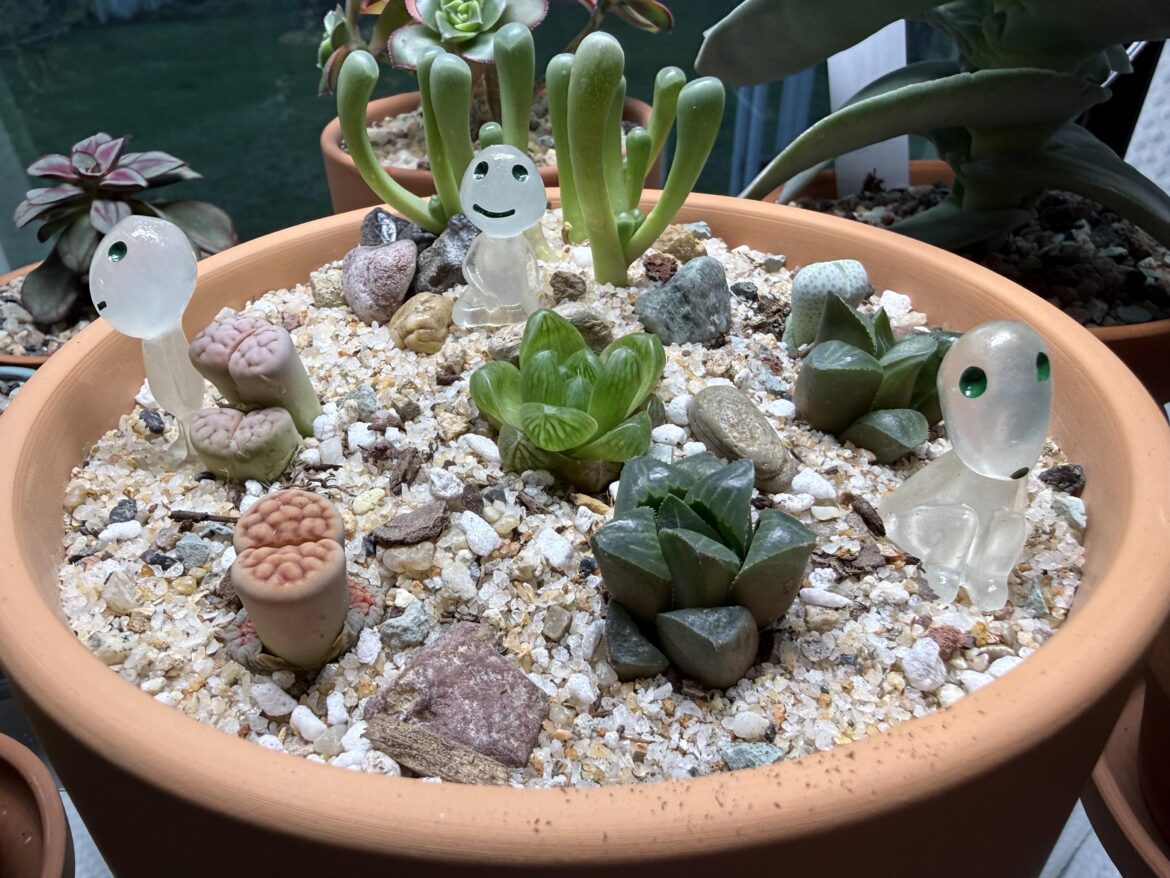 I just love my little alienscape!
