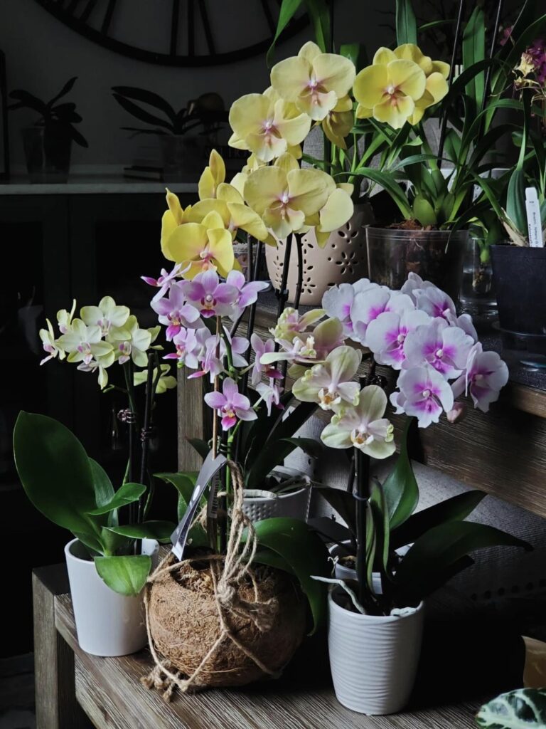 My Easter collection from left to right: