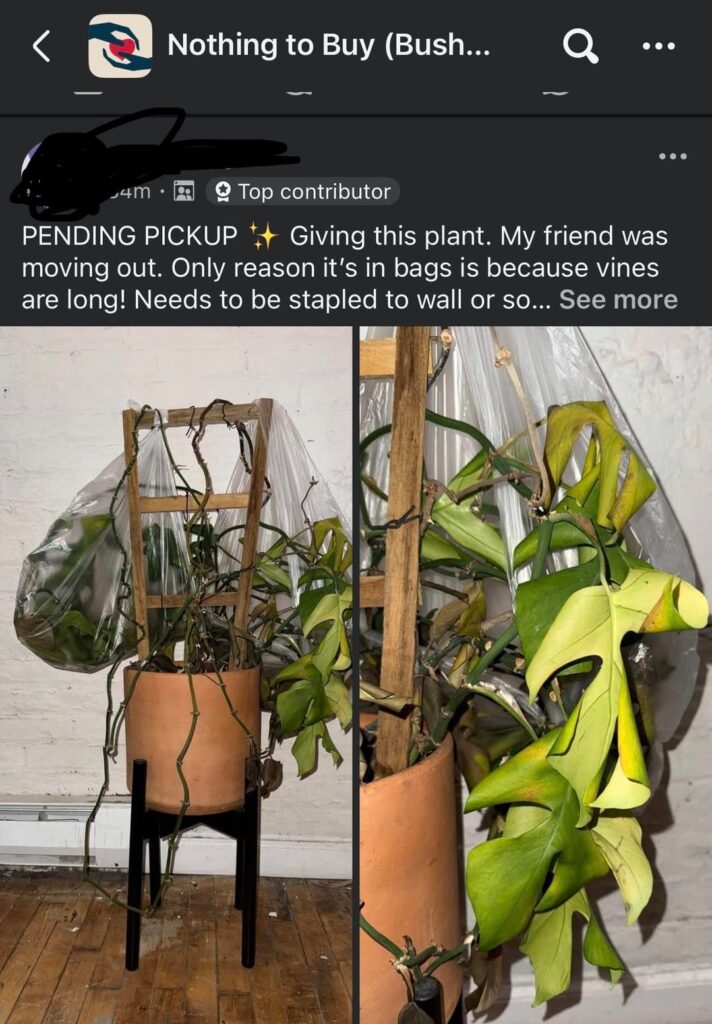 Facebook find! Who is she? What do I do with her? Prop advice! Facebook find! Who is she? What do I do with her? Prop advice!