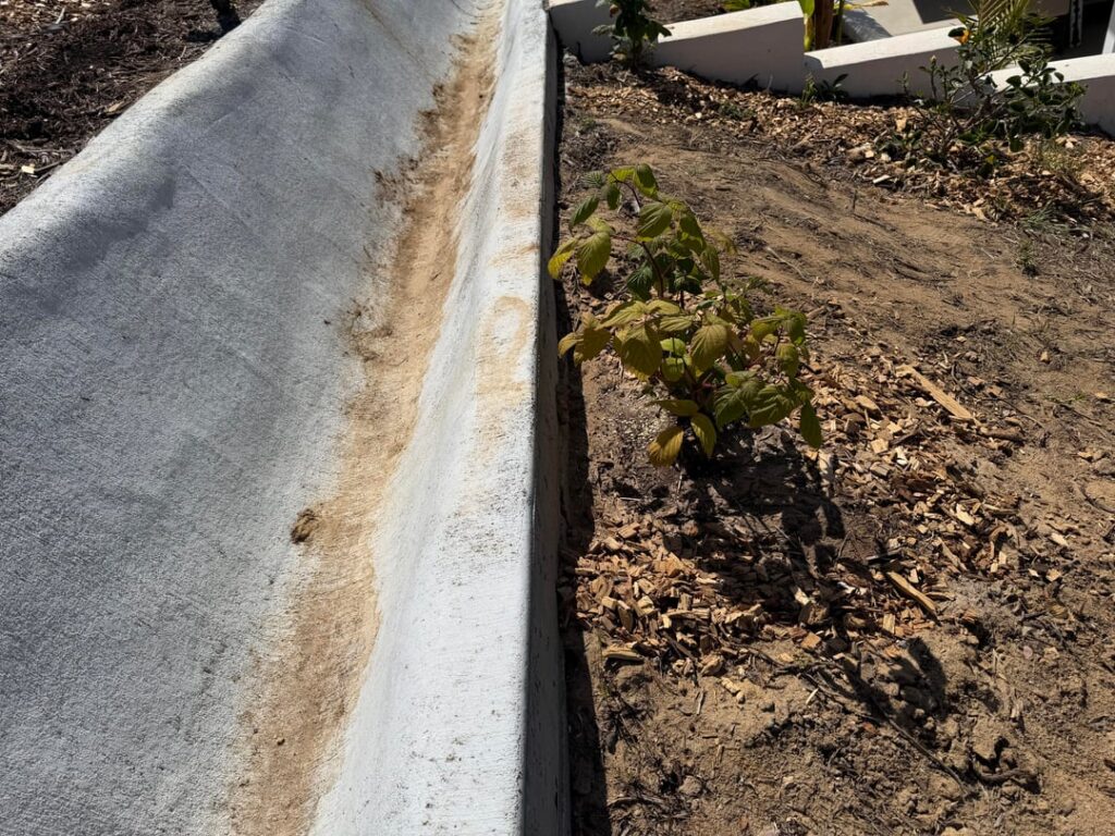 Am I correct in assuming raspberries couldn’t cross this concrete drainage channel?