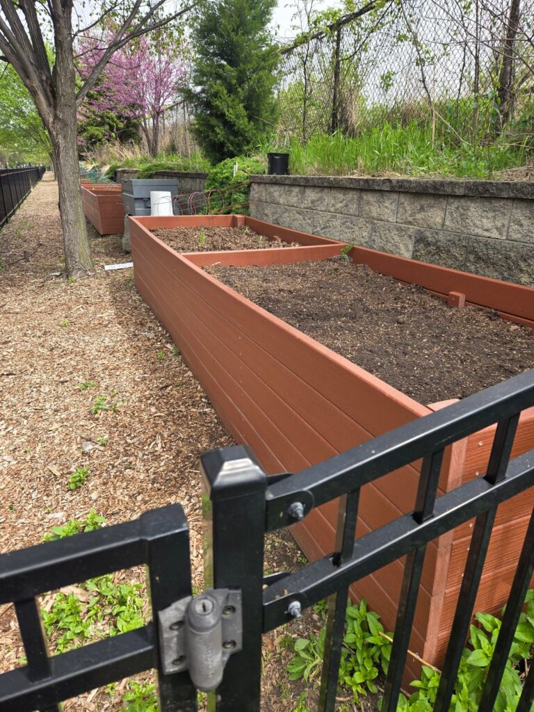 First time with a community garden plot - is this plan feasible? (Tiny plot - 4x8)