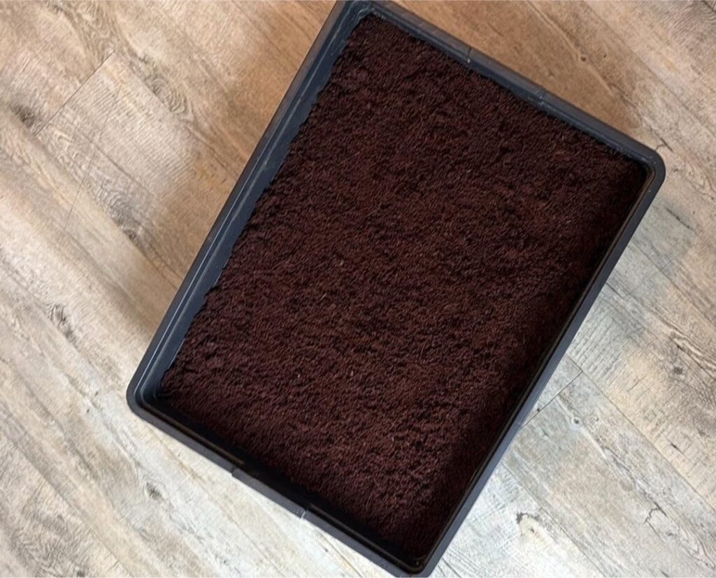 How to stop planting?😰