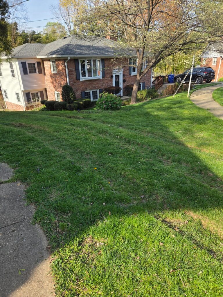 Truck driven on lawn