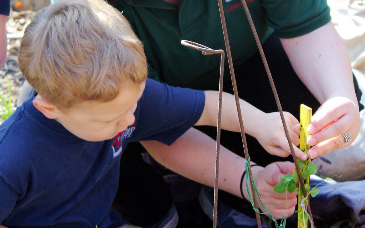 kid gardening