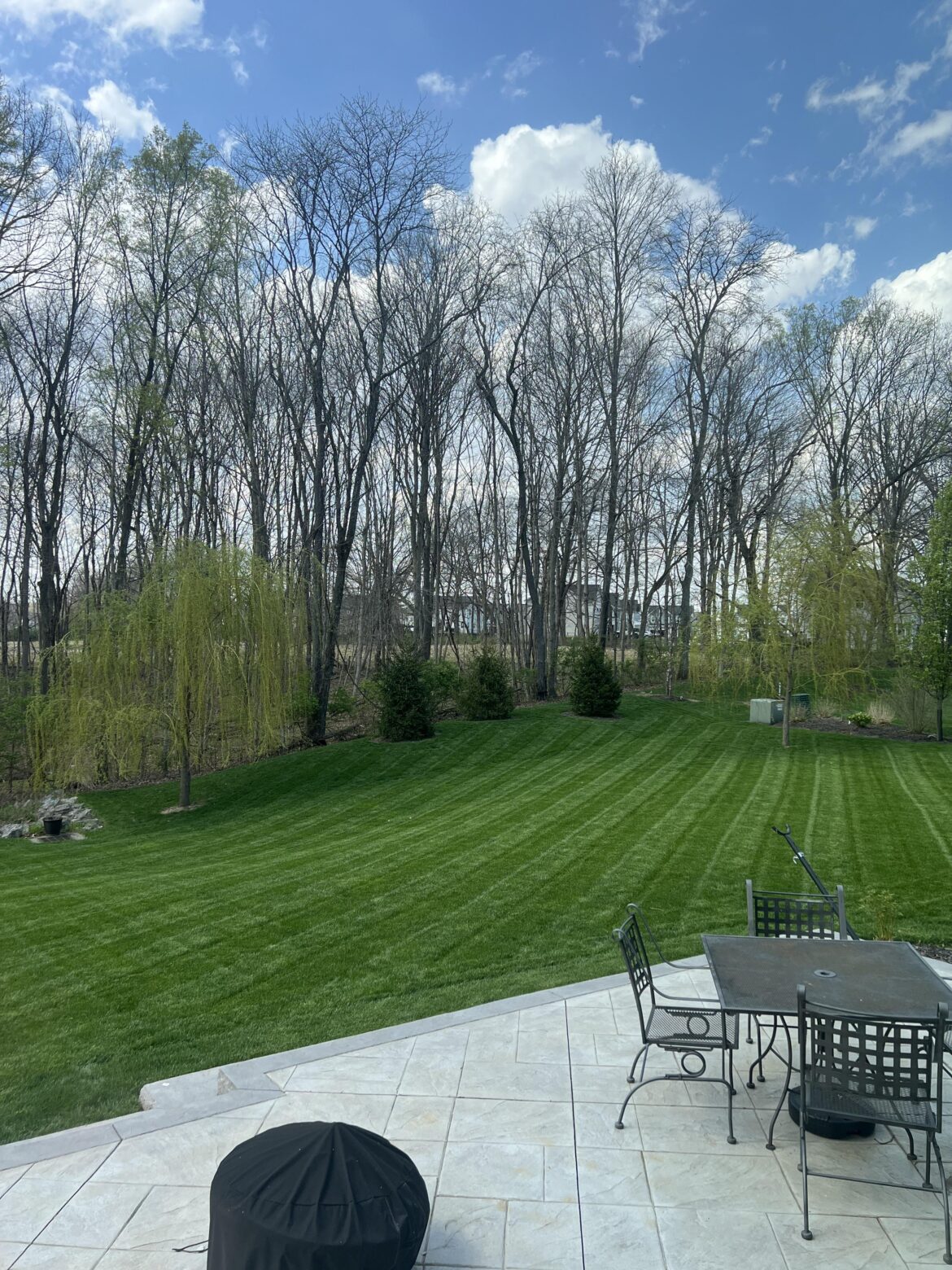 Good mow today