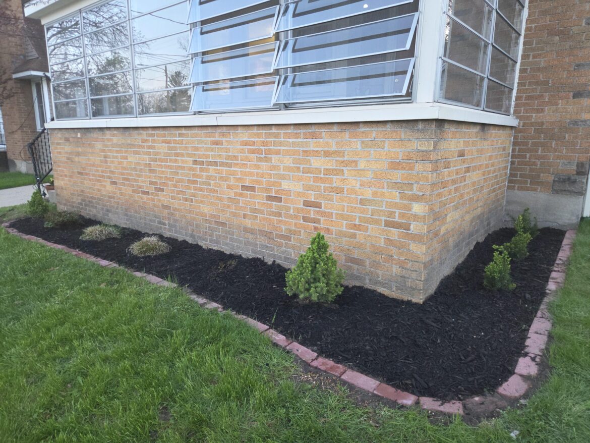 How can I improve my new front landscape