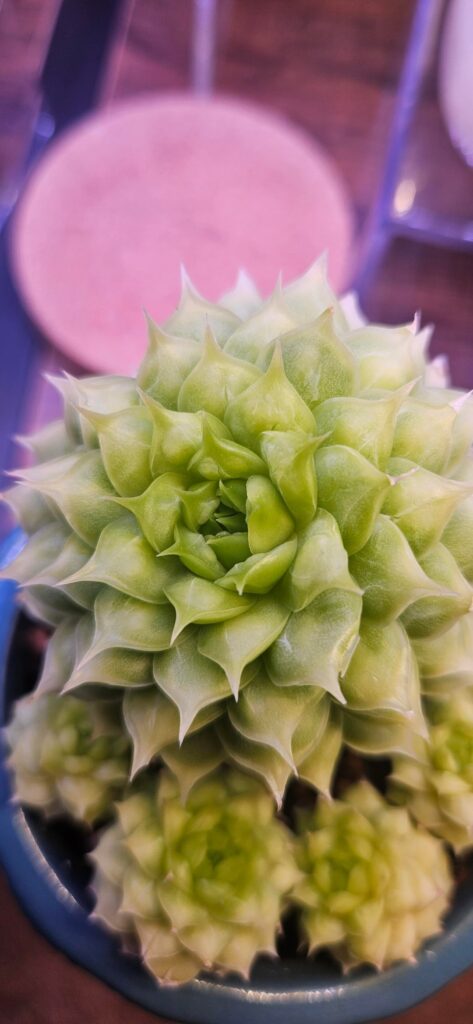 What do we think this is?