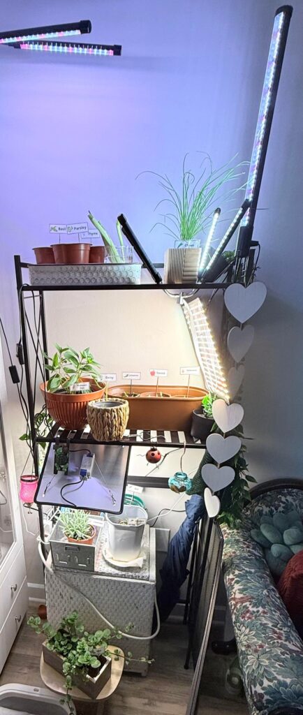 Indoor Garden Update