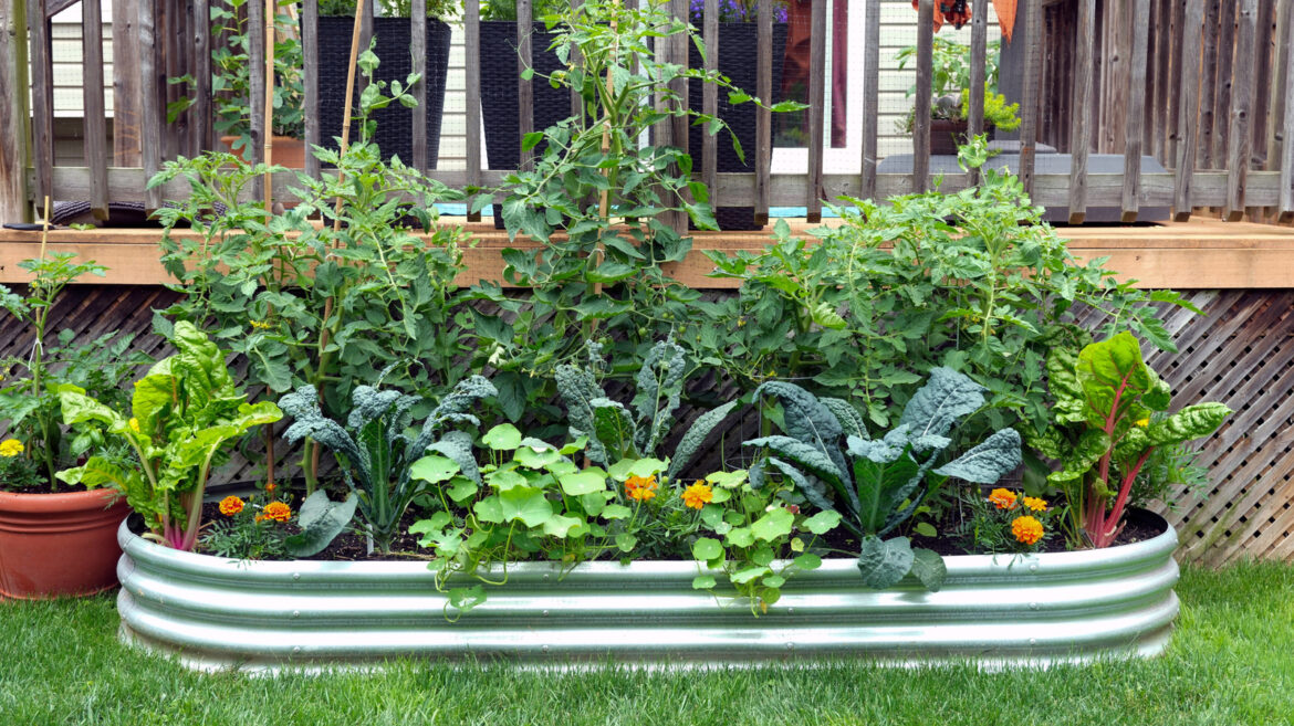 5 Delicious Garden Favorites You May Be Able To Plant In April