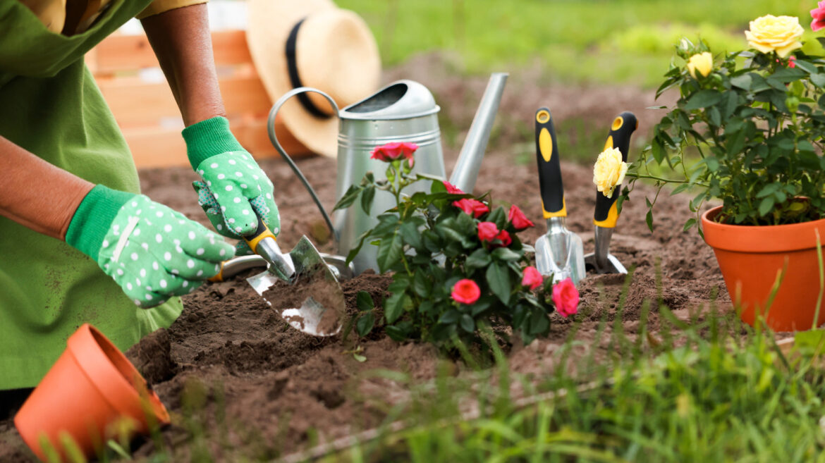 10 Best Perennials You Should Be Planting In April 10 Best Perennials You Should Be Planting In April