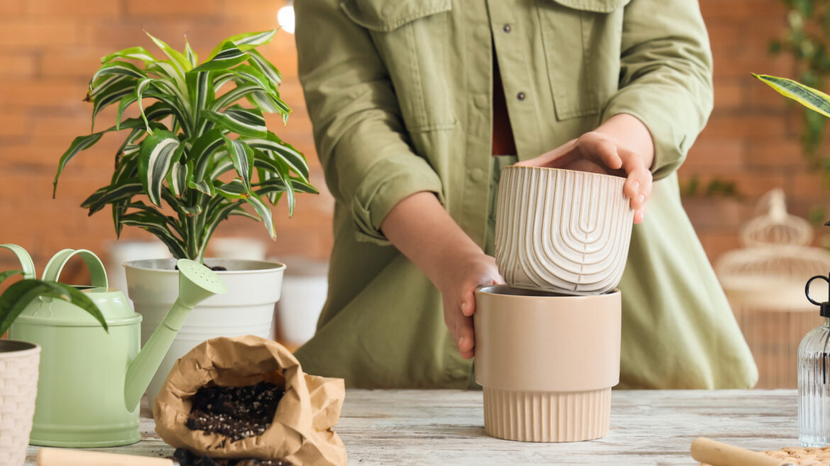 Aldi Has An Affordable Solution For Growing Plants Indoors Aldi Has An Affordable Solution For Growing Plants Indoors