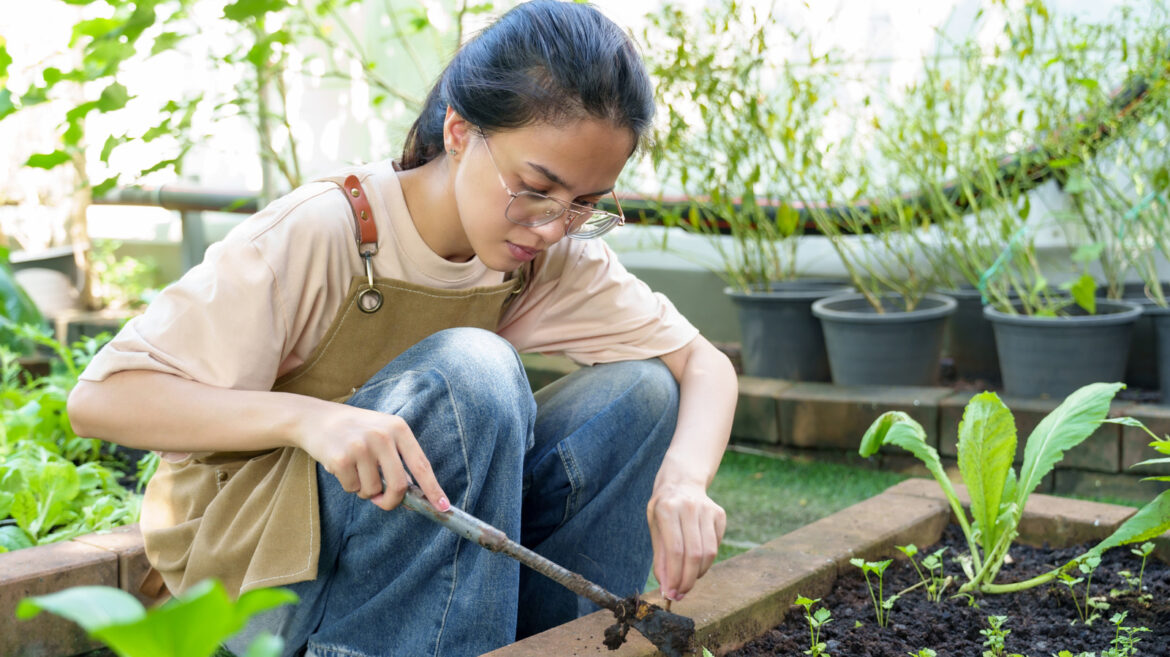 Aldi’s New Galvanized Garden Beds Are Under $20 And Great For Small Yards Aldi's New Galvanized Garden Beds Are Under $20 And Great For Small Yards