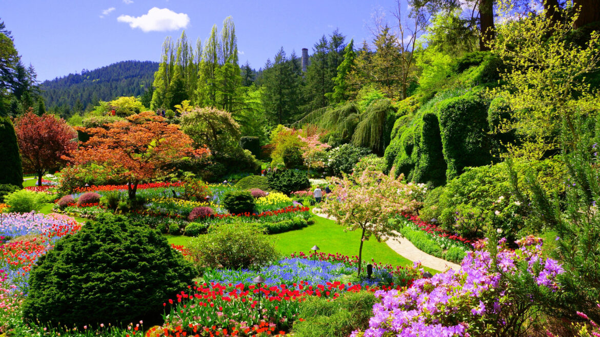Canada's Once-Thriving Limestone Quarry Is Now A World-Famous Garden With Endless Breathtaking Flowers