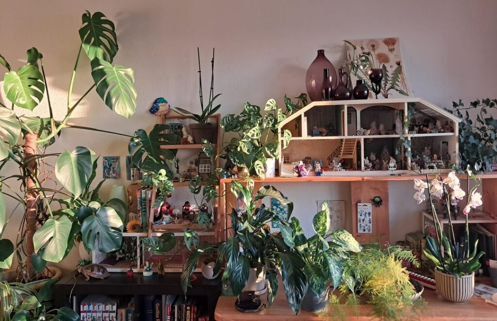 I love my "jungle" space