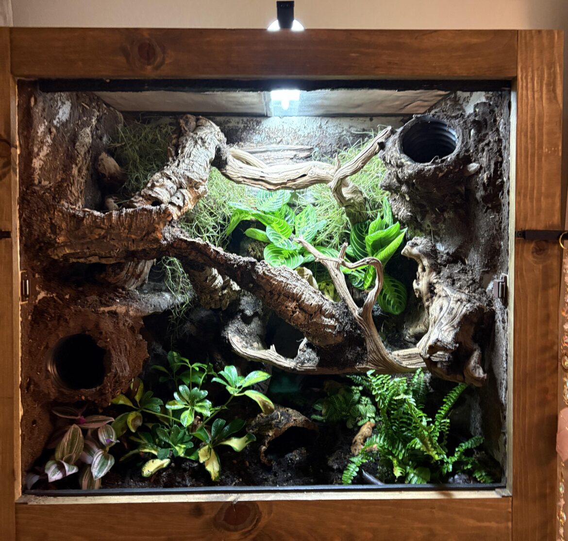 Any plant suggestions?