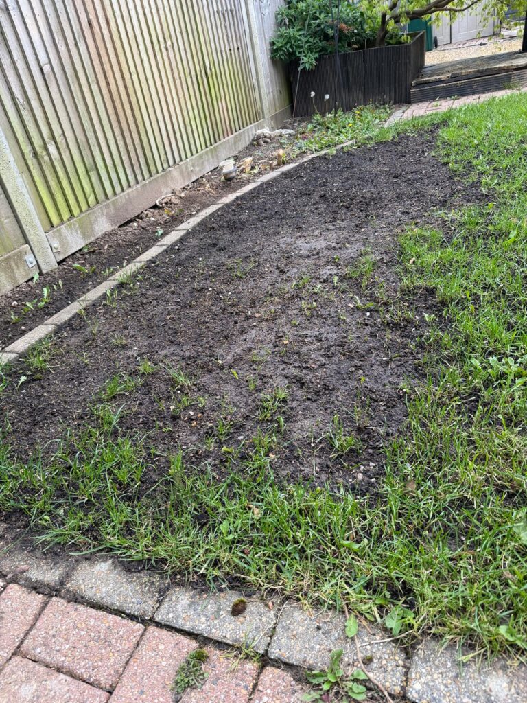 Over Seeded Lawn Help