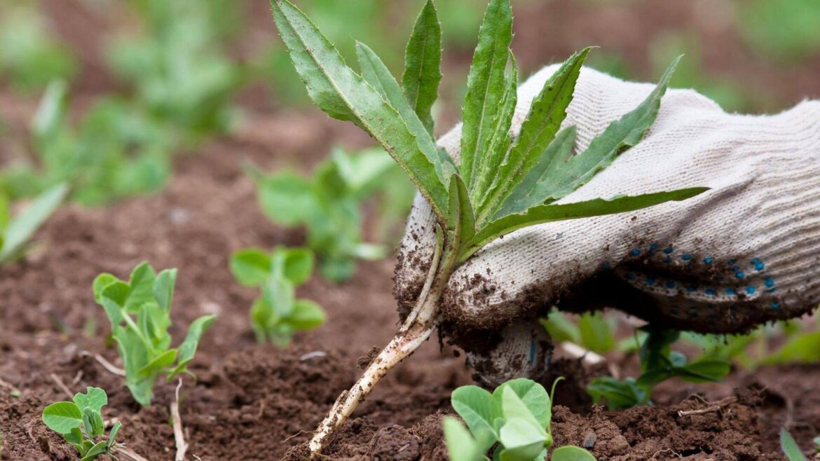 Boring gardening tasks made fun with these AI tools  