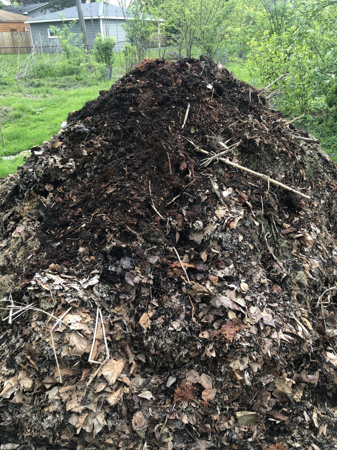 Compost Mountain