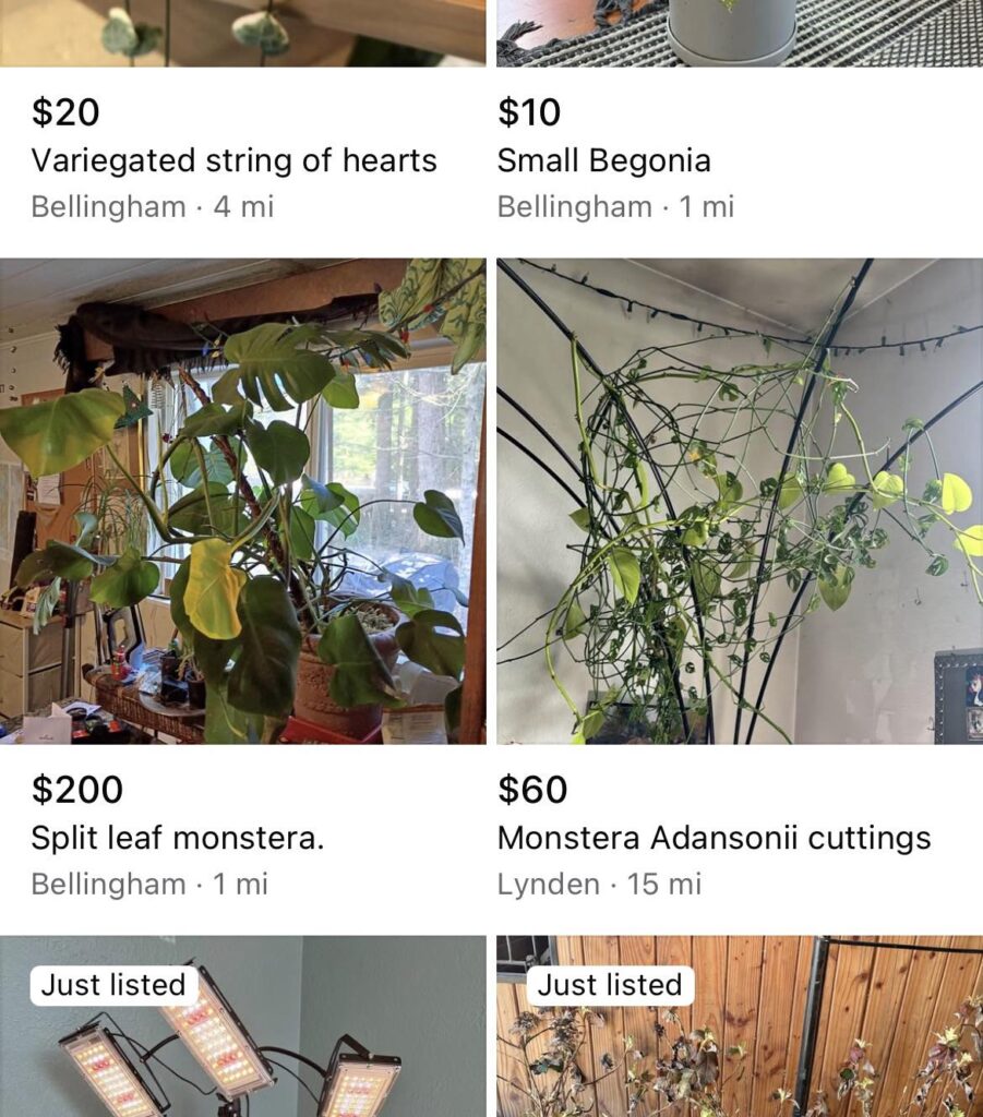 My plant marketplace