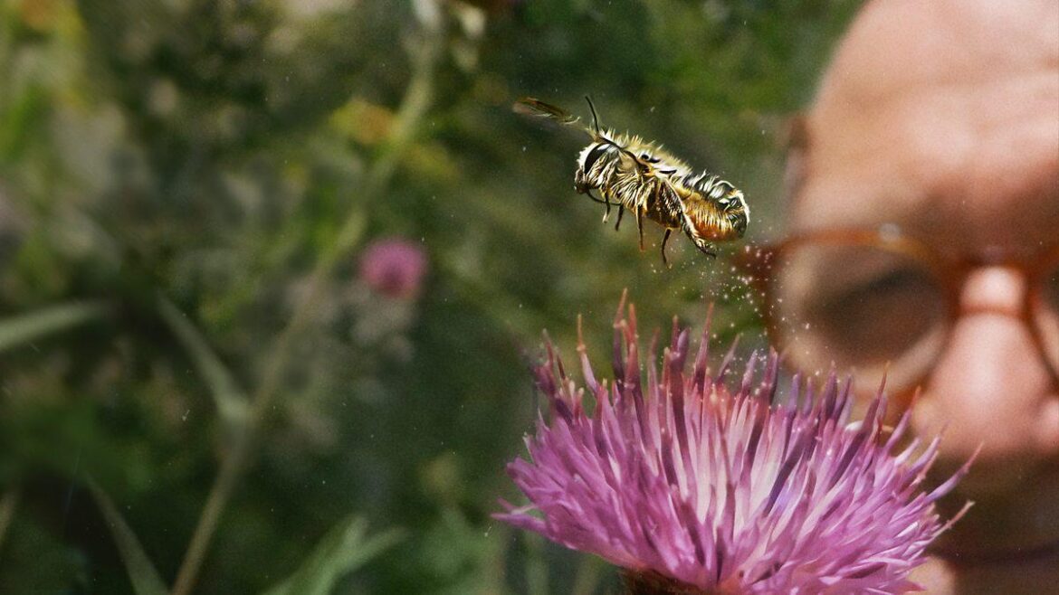 Has anyone else watched this incredible doc, filmed in Bristol? Am now obsessed with making my garden bee-friendly