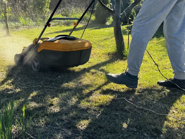 Lawn aeration or scarification, spring gardening work Lawn aeration or scarification, spring gardening work