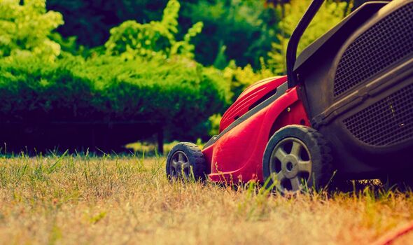 Picture of someone mowing a lawn 
