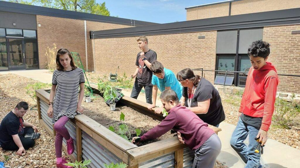 How to recover vegetable gardens after spring storms