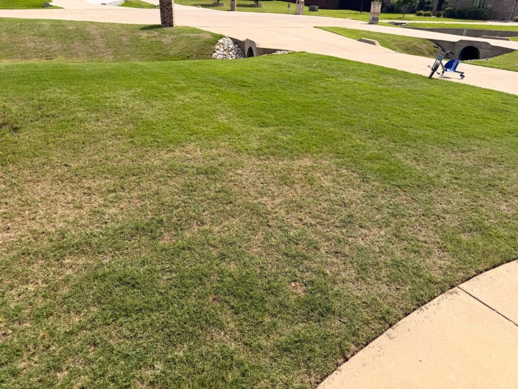 Struggling spots