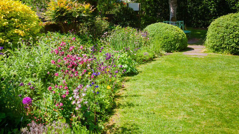Soft edges on borders in the garden