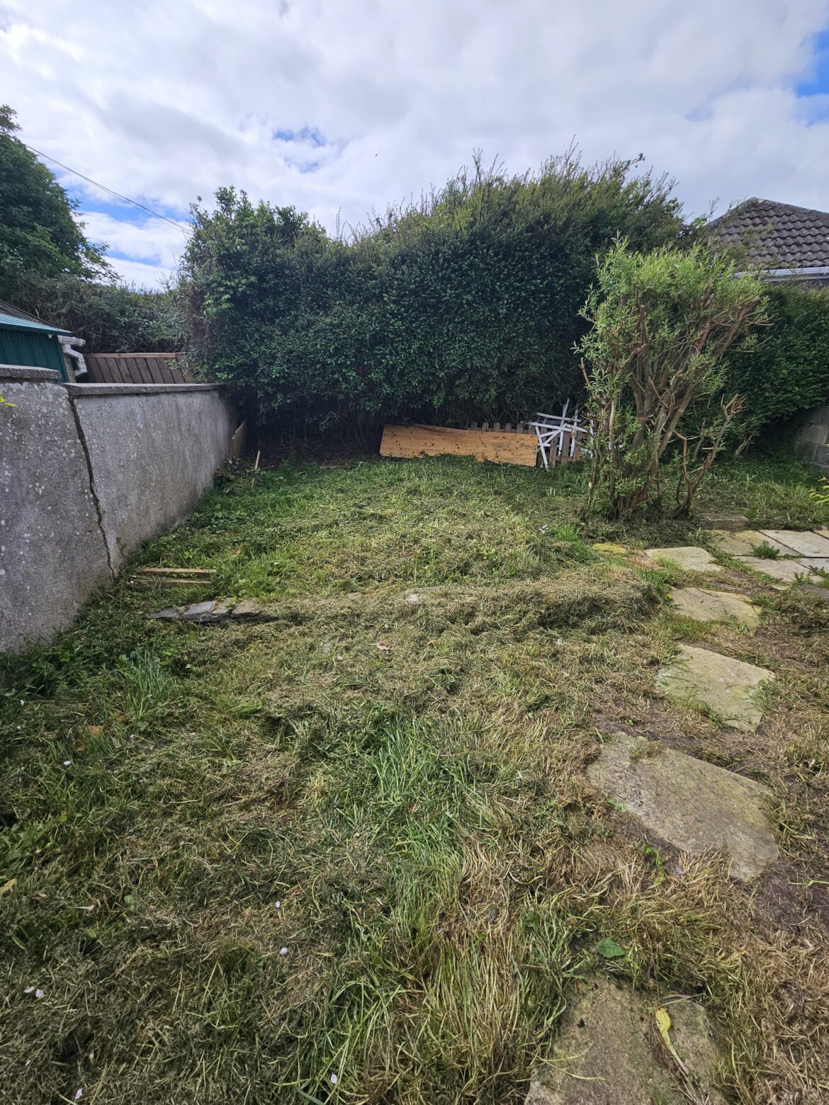 I want a nice lawn, where to start