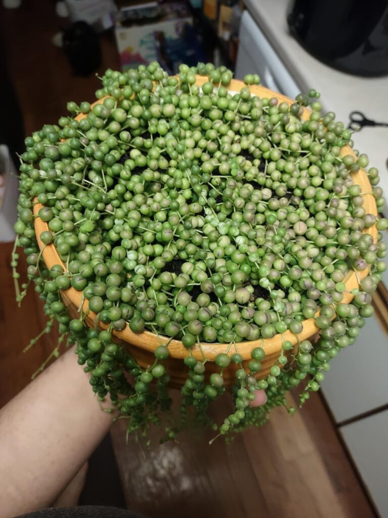 Almost A Year Now Almost A Year Now