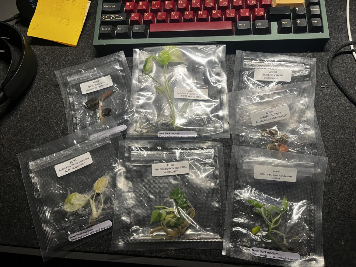 Just got afew free propagations, afew seem rare off a google search