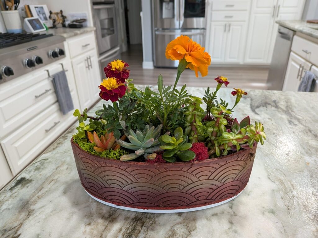 Daughter asked if i could make her a pot with some some easy to care plants.