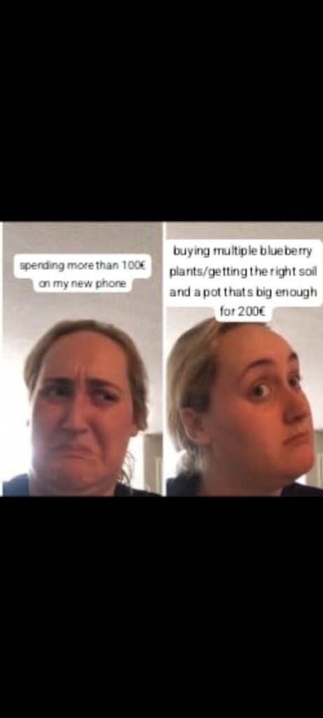 Priorities in life