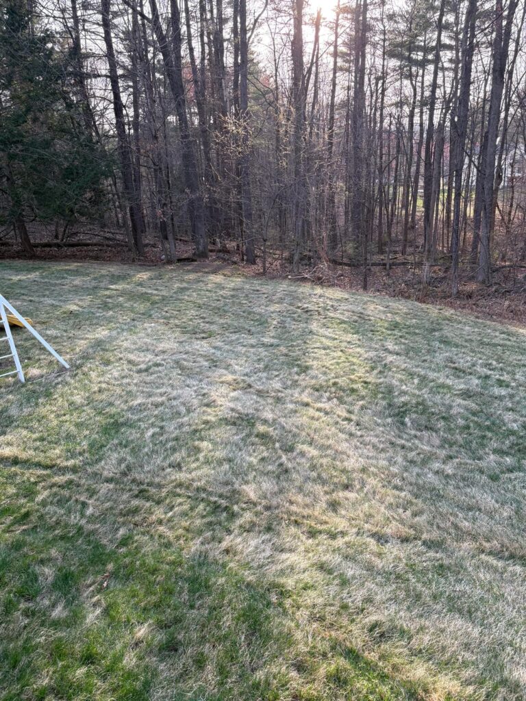 Lawn Professionally Dethatched -did I get scammed?